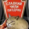 catidot