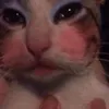 _tanhha