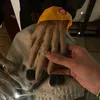 raheeq242