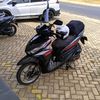 ciblek32_