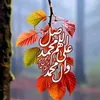 user2640718047620