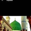 shabanashafqat