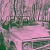wanderwheel01