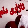 user047830128