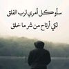user785898308