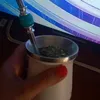 mariaep2020