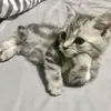 natalia_39374