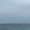 lui_gi___