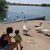 elenaaranda28