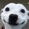 kierek123