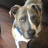 tricia_1203_