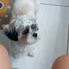 helensilva742