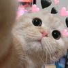 nenoo._20