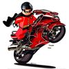 redxxbird