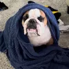 bonnieweeber