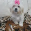 sofi.lopez.17