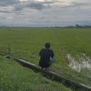 surontani_11
