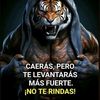 eduardomarchant