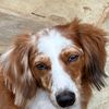 addiecharlie
