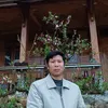 Diện tích cực