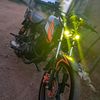 elbellako704