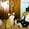 tylercurran2008