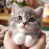 Cute Cat Kitten