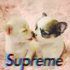user63602963