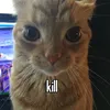 aeioudotme
