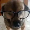 muvsmc6