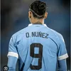 nznqn24