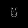 p._.bunny