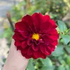 bonbon.0511