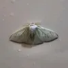jamievardy_69