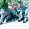 rongchotfound