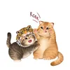 jaja_mymeow