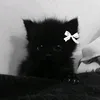 ssmlcilk