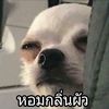 __meawww