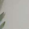 sasha_r022