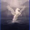 pegasokaraoke