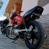 pinedax_100