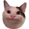 dideride
