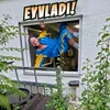 ey_vladi
