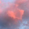 rainbow07115