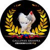 BRAHMA-LA FE 🇨🇴🪶