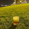 mohamedsalem755