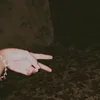 ptrzyr_am