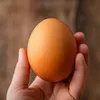 elsenseiiiiii