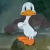 towellington