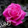 al_azawi_10